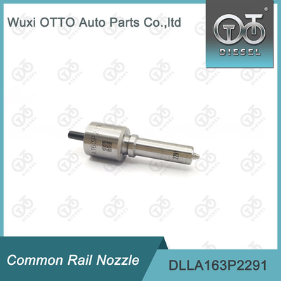 Bec commun du rail DLLA163P2291 pour l'injecteur 0445110476/477 0986435241